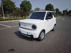 Geely Panda Mini 200km Endurance Edition - ფოტო 1