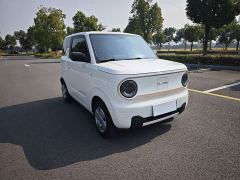 Geely Panda Mini 200km Endurance Edition - ფოტო 3