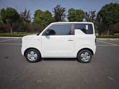 Geely Panda Mini 200km Endurance Edition - ფოტო 4