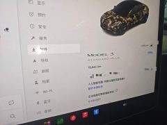 Tesla Model 3 Standard Range RWD Upgrade 3D6 - ფოტო 11