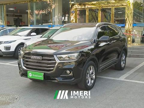 2022 Haval H6 National Trend 1.5T Automatic Champion Edition - автомобиль из Китая