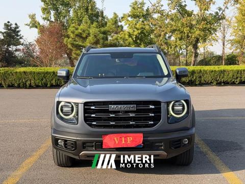 2023 Great Wall Dachshund 1.5T DCT Two-Wheel Drive Border Collie Edition - car from China