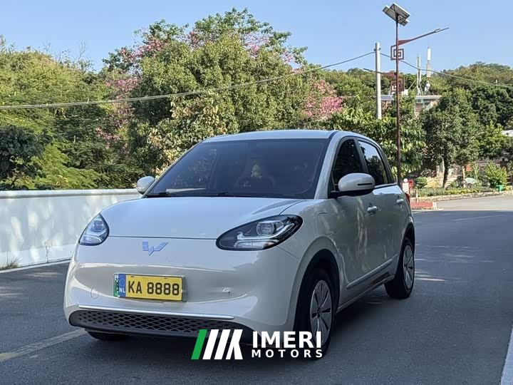 Wuling Binguo 333km Quick Enjoy Edition - car from China