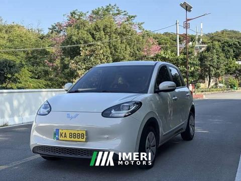 2023 Wuling Binguo 333km Quick Enjoy Edition - car from China