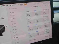 Tesla Model 3 Standard Range RWD Upgrade 3D6 - фото 6