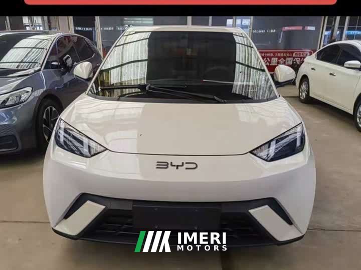 BYD Seagull Vitality Edition