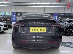 Tesla Model Y Rear-Wheel Drive - ფოტო 4