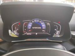 Aeolus Yixuan 230T Automatic Tiger Roar Edition - ფოტო 11
