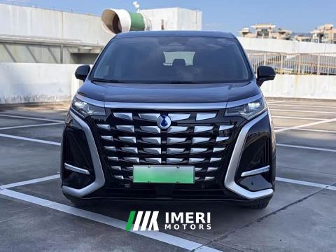 2025 Denza D9 DM-i 980 AWD Luxury - car from China