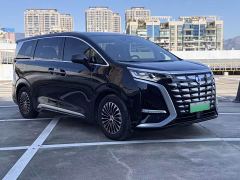 Denza D9 DM-i 980 AWD Luxury - ფოტო 3