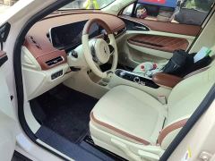 ORA Good Cat 400km Standard Range Venus Edition LFP Battery - фото 14