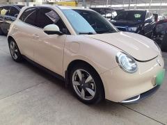 ORA Good Cat 400km Standard Range Venus Edition LFP Battery - фото 3