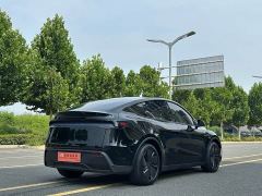 Tesla Model Y Rear-Wheel Drive - ფოტო 6