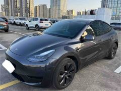 Tesla Model Y Rear-Wheel Drive - photo 1