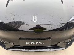AITO M6 EREV Max - ფოტო 14