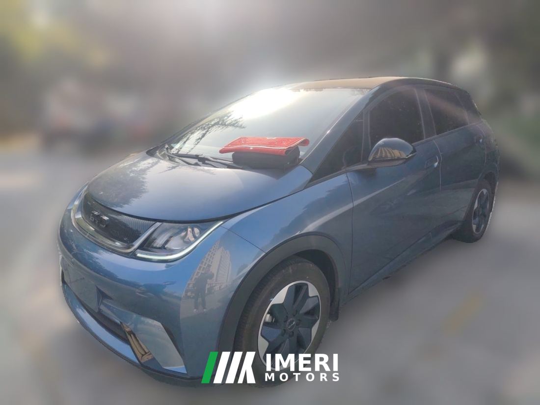 BYD Dolphin 420km Free Version - car from China