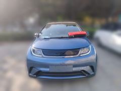BYD Dolphin 420km Free Version - photo 2