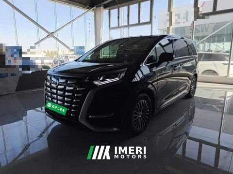 2025 Denza D9 DM-i 980 AWD Luxury - car from China