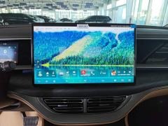 Denza D9 DM-i 980 AWD Luxury - ფოტო 12