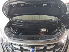 Denza D9 DM-i 980 AWD Luxury - ფოტო 19
