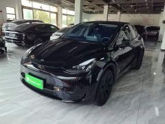 Tesla Model Y Rear-Wheel Drive - ფოტო 1