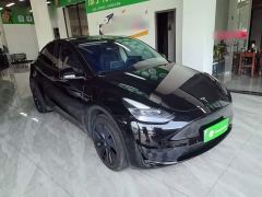 Tesla Model Y Rear-Wheel Drive - ფოტო 3