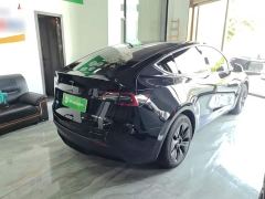 Tesla Model Y Rear-Wheel Drive - ფოტო 6