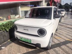 Geely Panda Mini 200km Endurance Edition - ფოტო 1