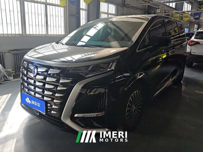 Denza D9 DM-i 1.5T 190km AWDPremium Version 7