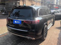 Mercedes-Benz GLS 450 6 (US Spec) - фото 2