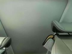 Buick E5 Premium Standard Range Edition - ფოტო 9