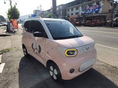 Wuling Hongguang MINIEV Third Generation 215km Advanced Edition - photo 3