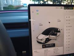 Tesla Model 3 High Performance All-Wheel Drive - photo 13