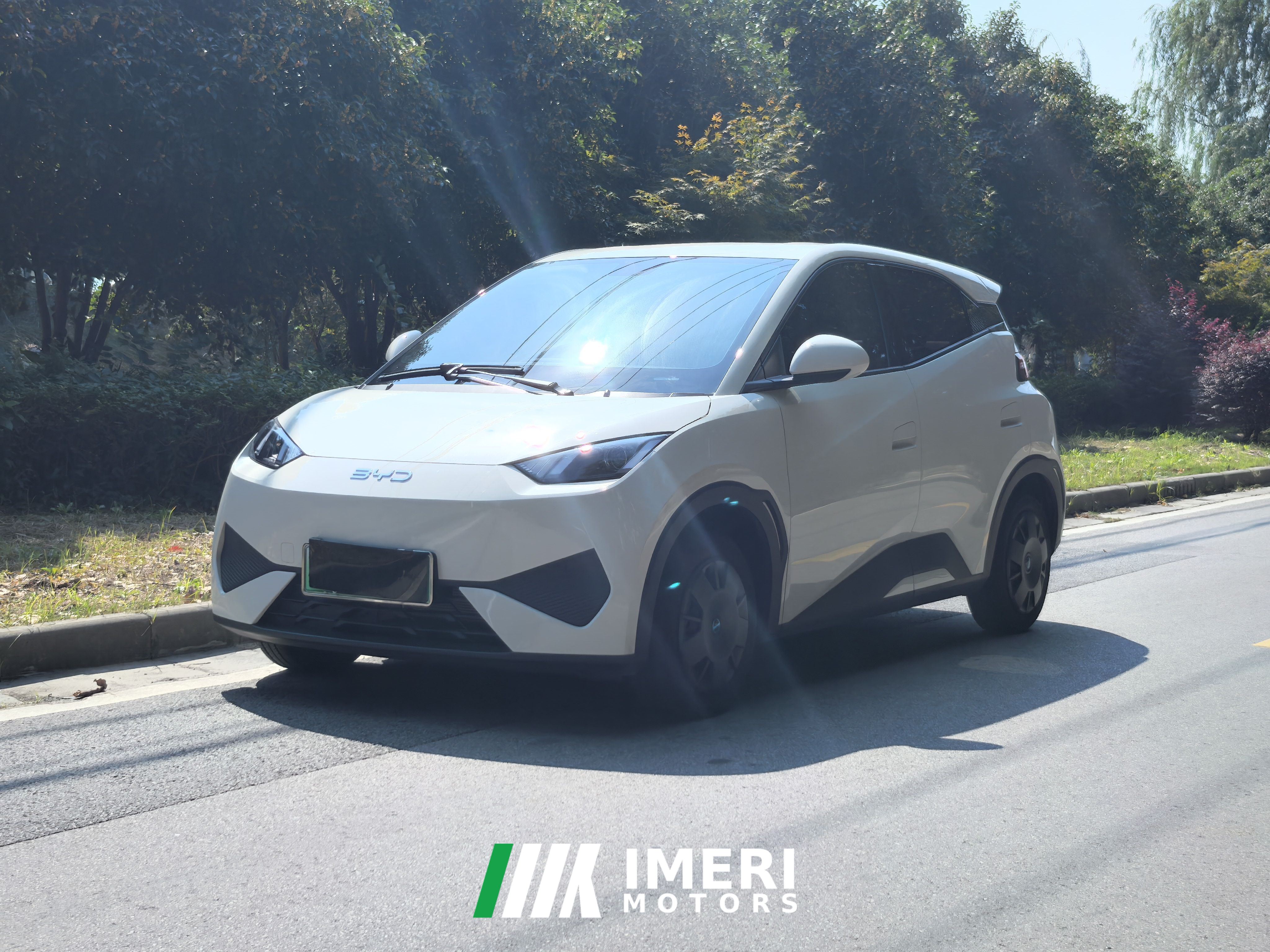 BYD Seagull Smart Driving Edition 305km Vitality Edition