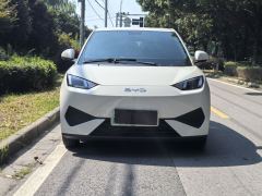 BYD Seagull Smart Driving Edition 305km Vitality Edition - photo 2