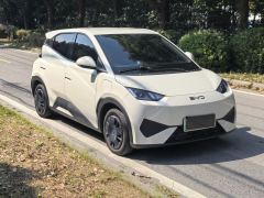 BYD Seagull Smart Driving Edition 305km Vitality Edition - photo 3