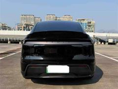 Tesla Model Y L Long Range All-Wheel Drive - ფოტო 5