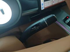 ORA Lightning Cat 555km Deluxe Edition - ფოტო 13