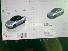 Tesla Model Y Long Range All-Wheel Drive - ფოტო 7