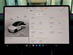 Tesla Model Y Long Range All-Wheel Drive - ფოტო 11