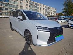 Wuling Starlight 730 New Energy PHEV 125km Luxury - ფოტო 4