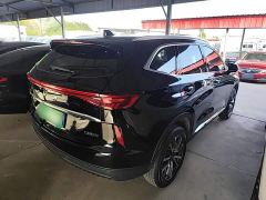 Haval H6 Third Generation 1.5T Automatic Two-Wheel Drive Max - photo 6