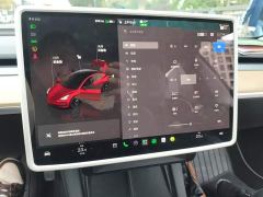 Tesla Model 3 Rear-Wheel Drive - ფოტო 14