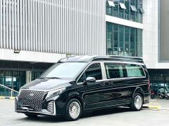 Mercedes-Benz V-Class (Imported) V 250 - ფოტო 1