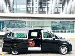 Mercedes-Benz V-Class (Imported) V 250 - ფოტო 3