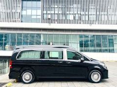 Mercedes-Benz V-Class (Imported) V 250 - ფოტო 4