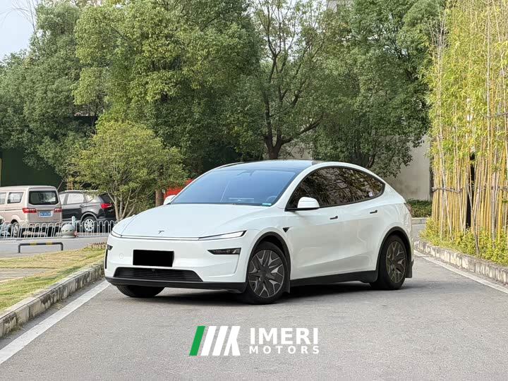 Tesla Model Y L Long Range All-Wheel Drive - car from China