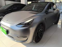 Tesla Model Y Long Range All-Wheel Drive - ფოტო 1