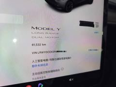 Tesla Model Y Long Range All-Wheel Drive - ფოტო 11