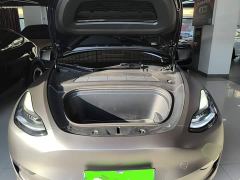 Tesla Model Y Long Range All-Wheel Drive - ფოტო 19